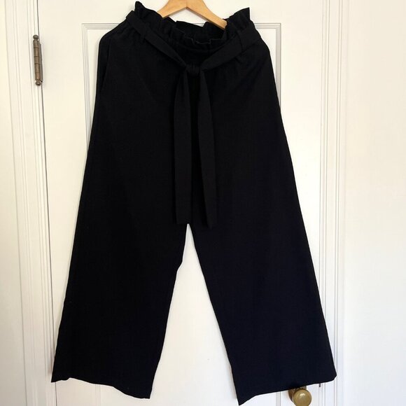 Anthropologie Elodie Wide Leg Trousers with Paperbag Tie Waist | Size Medium - Picture 3 of 7